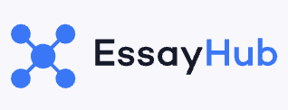 online essay writer from essayhub